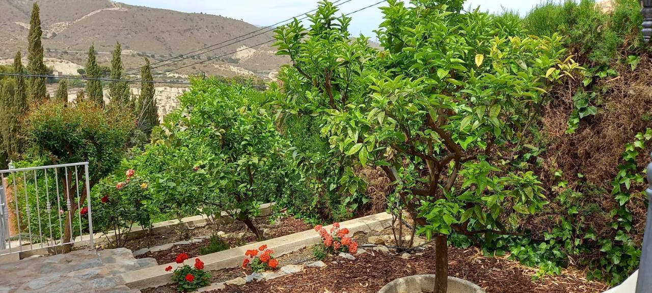 Villa Casa Kenaz El Campello Ngoại thất bức ảnh